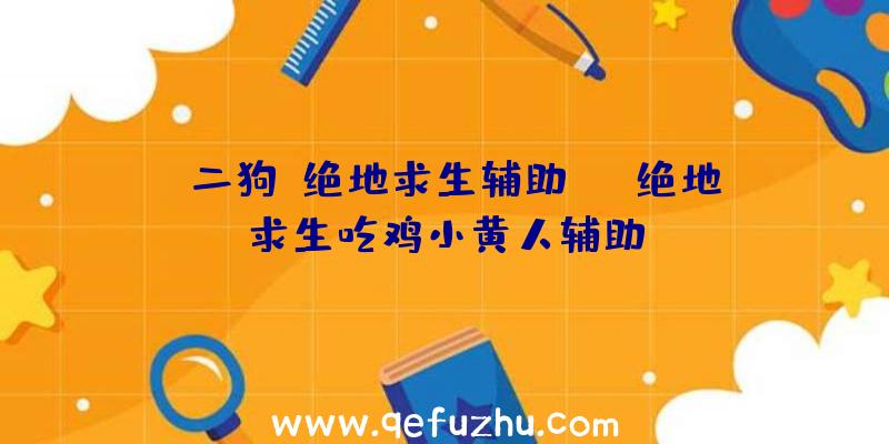 「二狗【绝地求生辅助】」|绝地求生吃鸡小黄人辅助